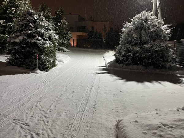 Главная